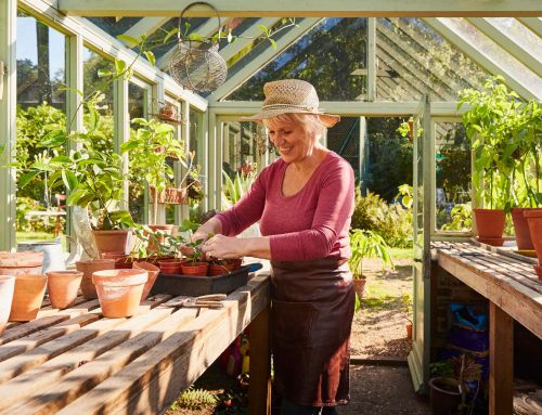 Tax-Smart Retirement Planning: Finding the Right IRA for Your Future