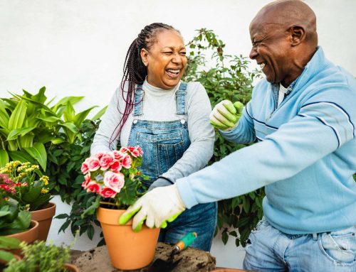 What You Need to Know About IRA Contribution Limits This Year
