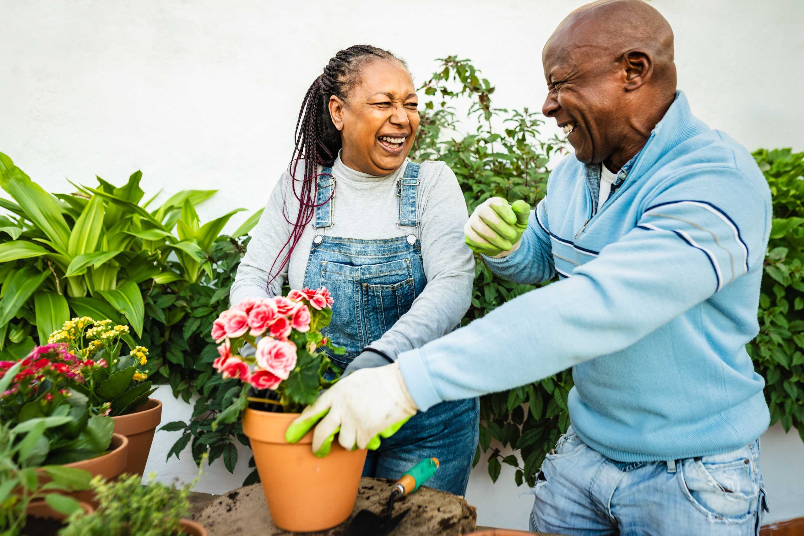 What You Need to Know About IRA Contribution Limits This Year