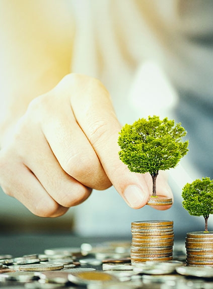 Wealth Management San Clemente